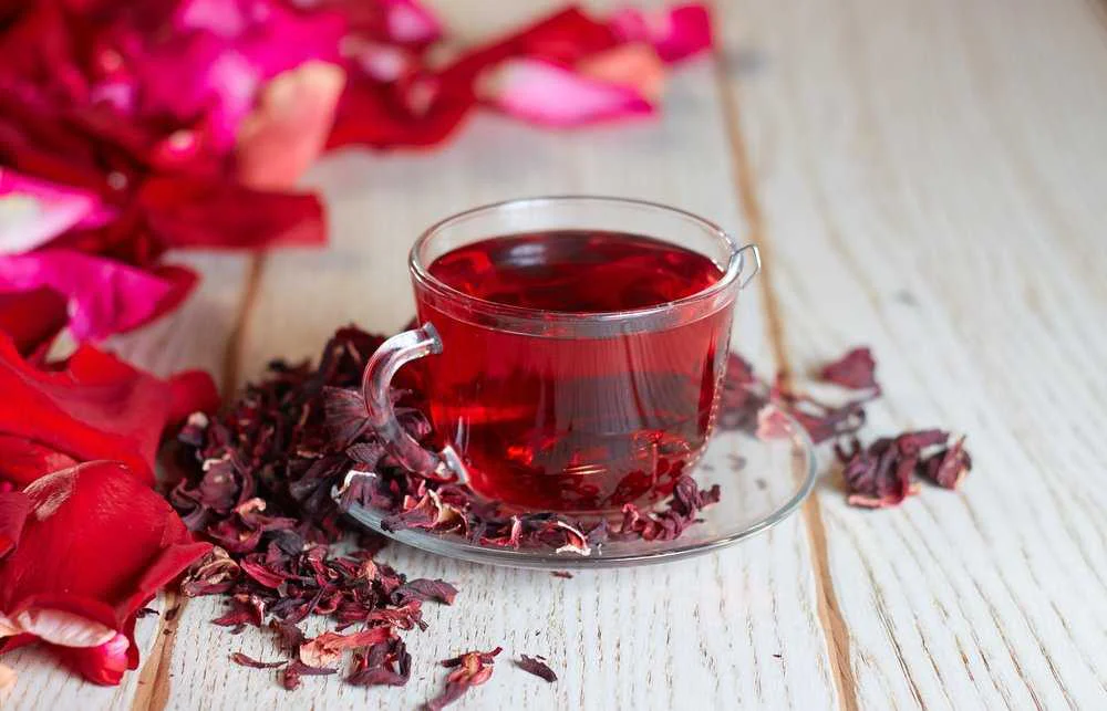 hibiscus