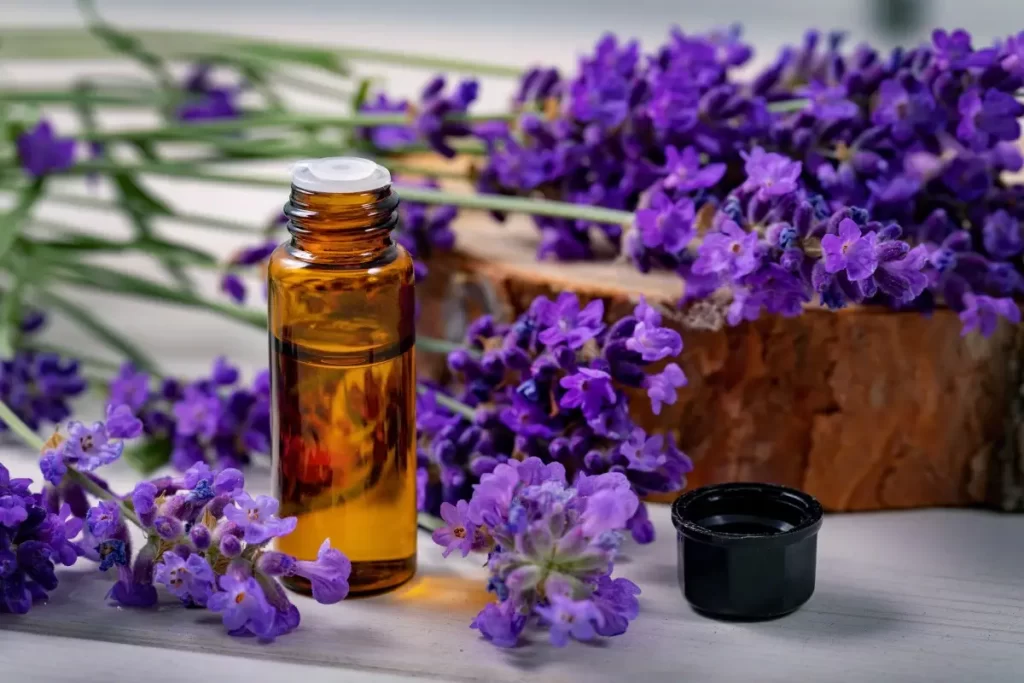 Uleiul de Lavanda: Imbratisand Delicatetea