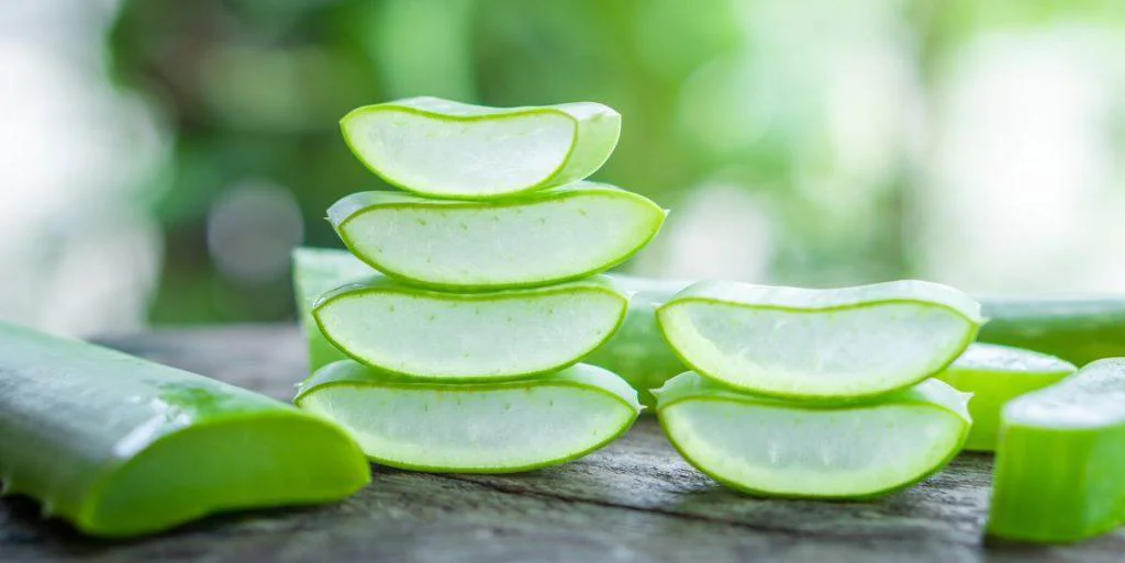 Aloe Vera Gel: Secretul Frumusetii Naturale